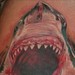 Tattoos -  Great White Shark Tattoo - 51871